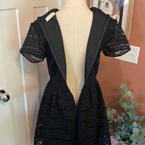 Rachel Parcell Anglaise L Black embroidered overlay fit & flare lined knee dress - Picture 10 of 16